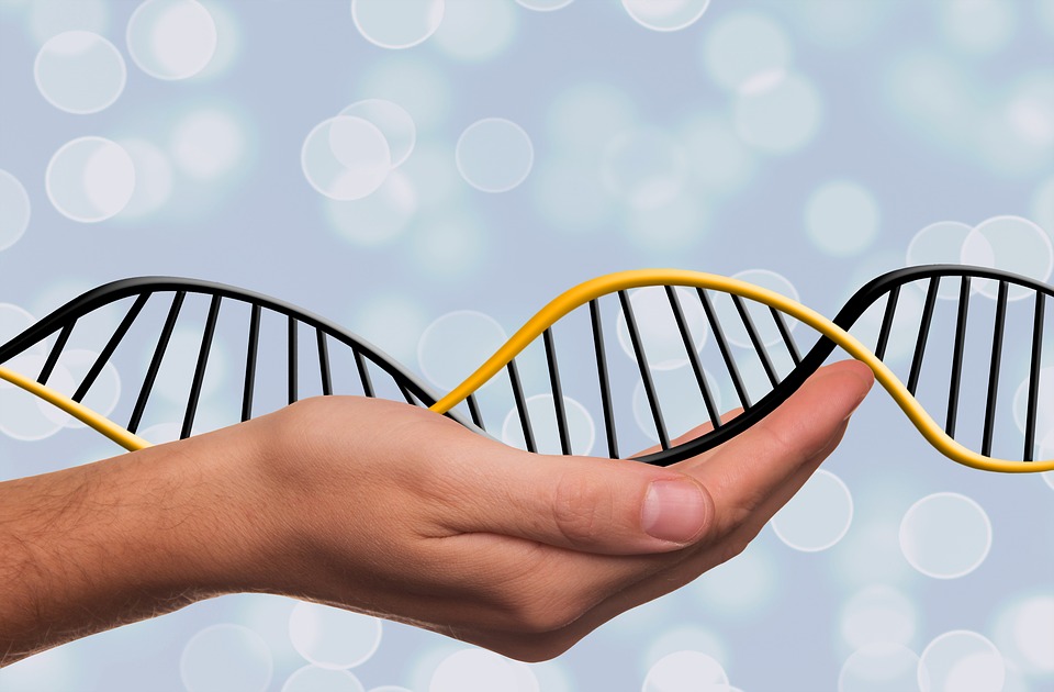 Genomitieto mullistaa terveydenhuoltoa – TAMK liitti sen alan opetukseen